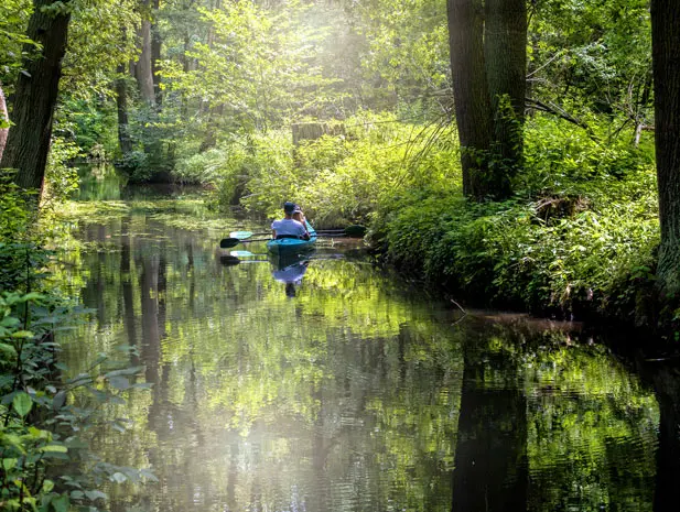 Δάσος Spreewald Βερολίνο