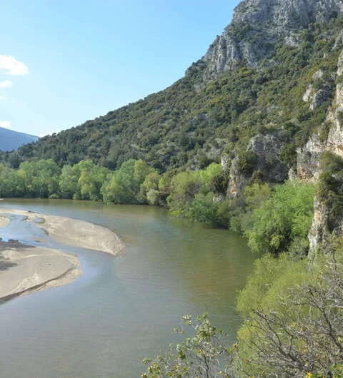 Δέλτα Νέστου