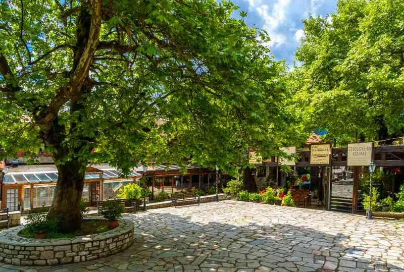 Ελάτη Τρικάλων