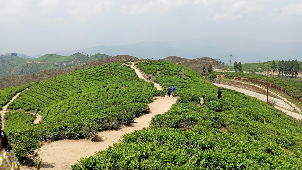 Ilam Nepal