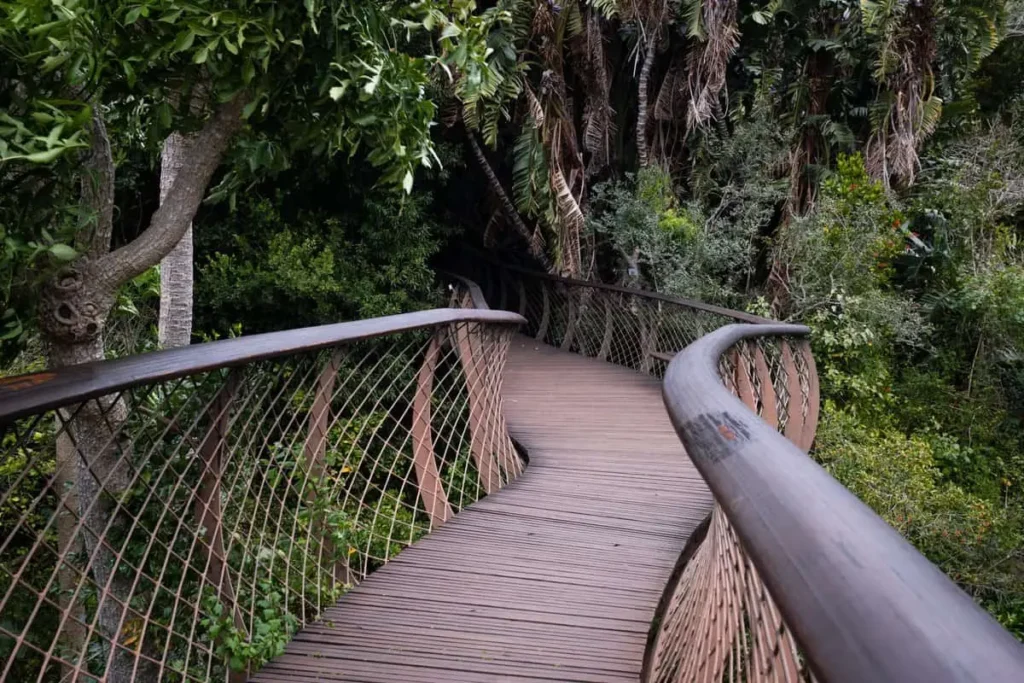 Kirstenbosch National Botanical Garden