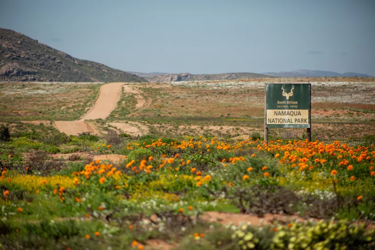 Namaqualand Νότια Αφρική