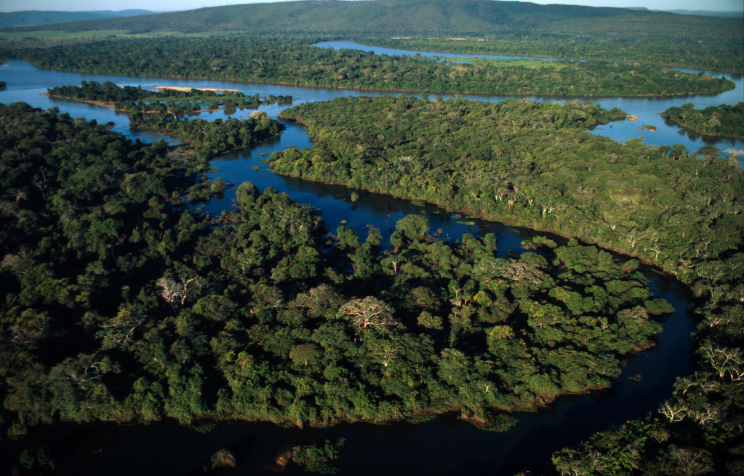 Υδροβιότοπος Pantanal Βραζιλία