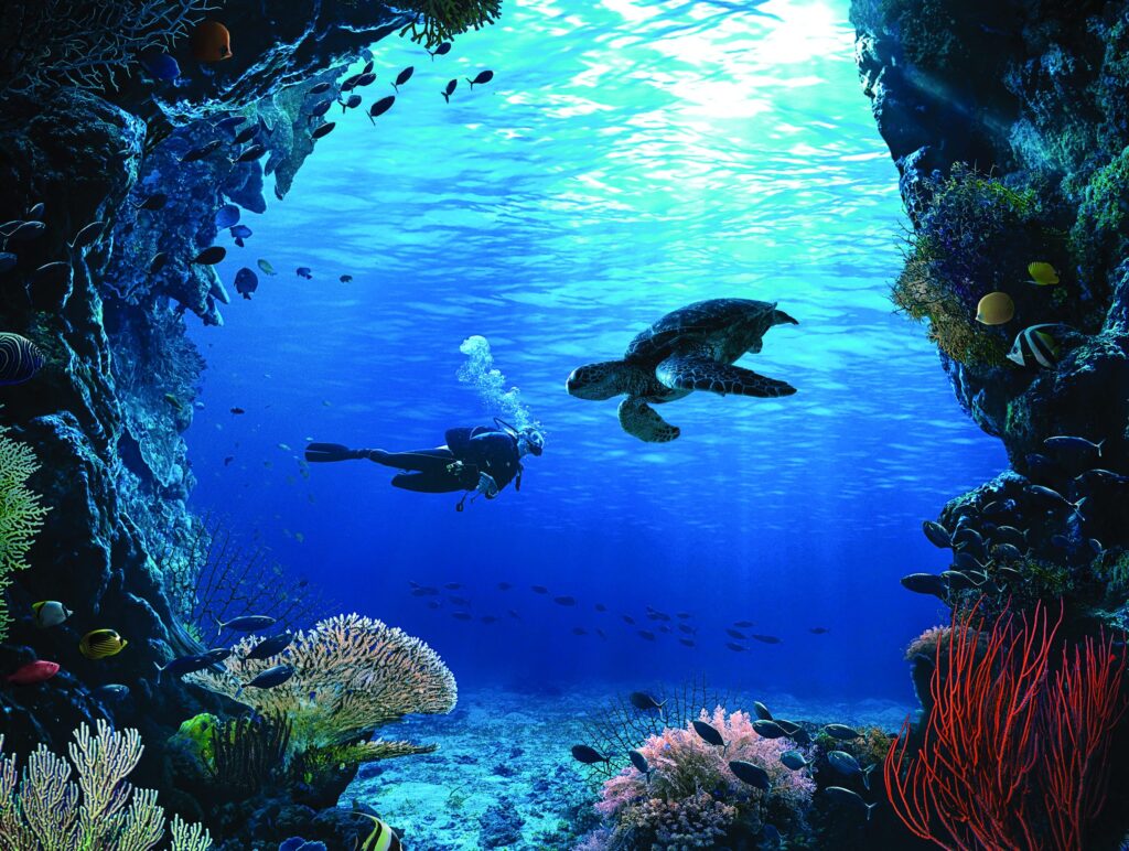 Scuba_Diving_philippines
