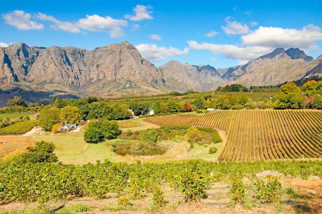 Stellenbosch Νότια Αφρική