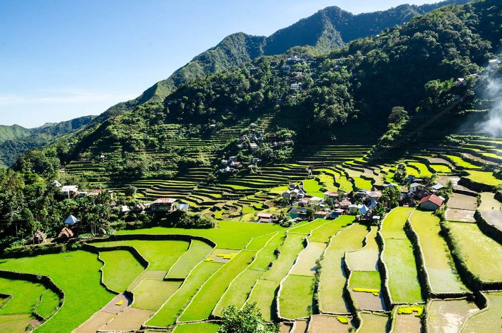 large_banaue-rice-terraces-philippines