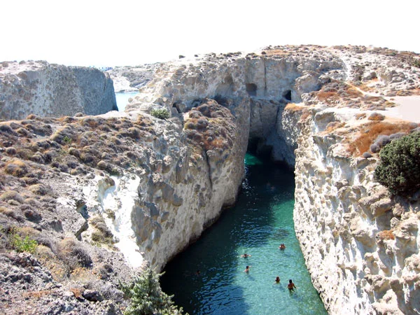 Παπάφραγκας