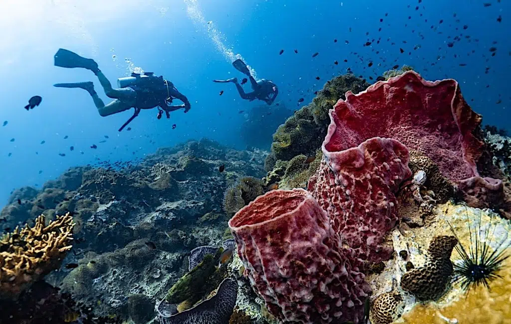 scuba diving thaliand