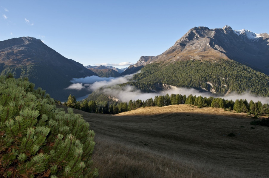 Swiss National Park