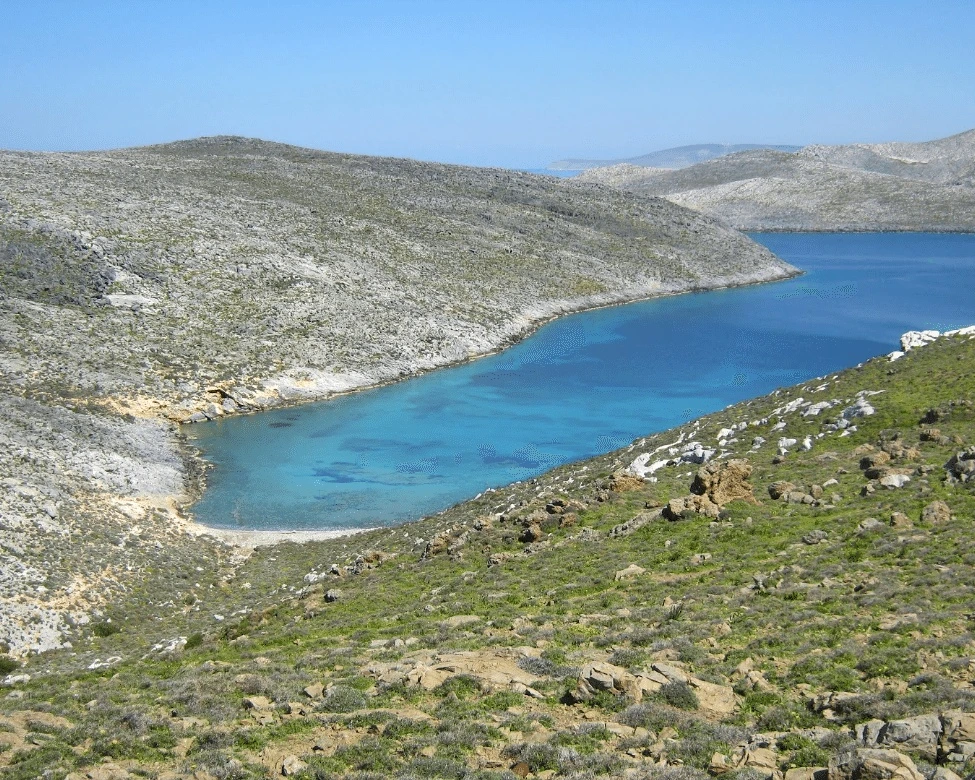Βαλάνη
