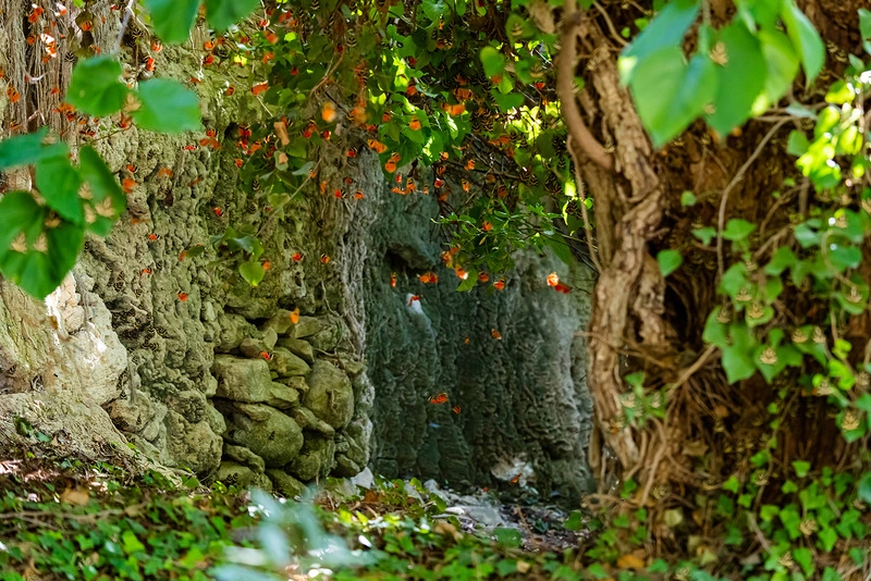 Φαράγγι με τις πεταλούδες Πάρος