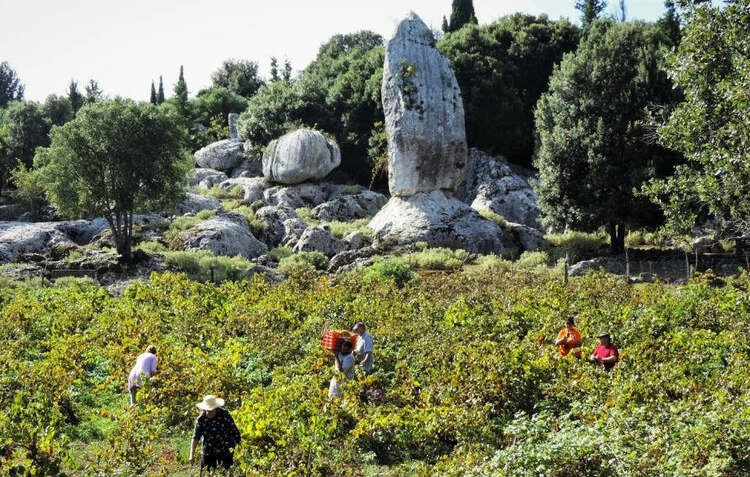 Μονόλιθοι Ανωγής Ιθάκη