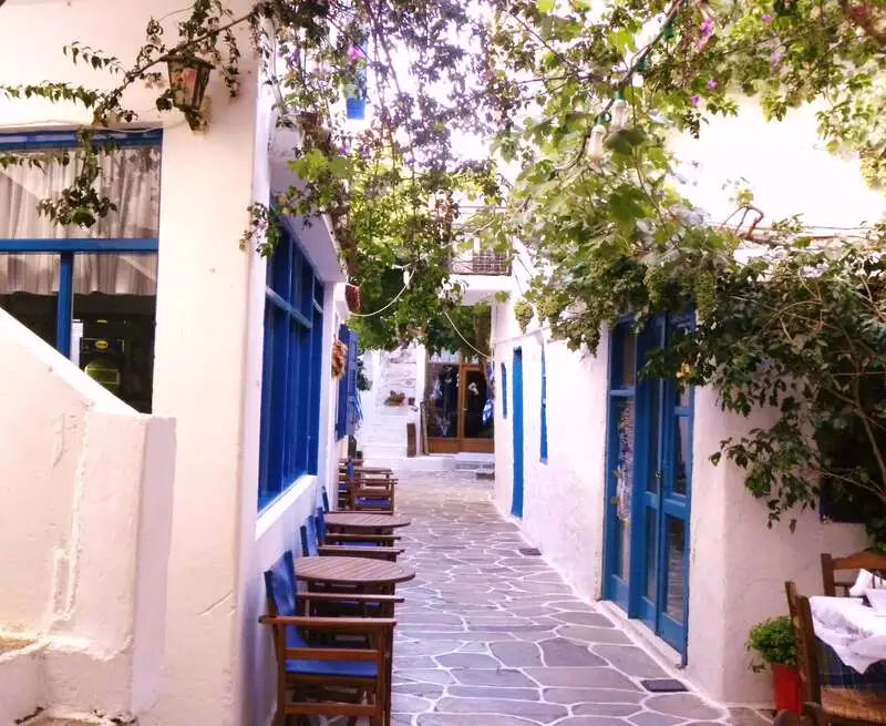 Δρυοπίδα Κύθνος