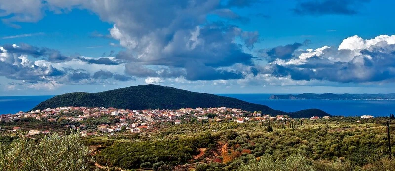 Πέρδικα Πάργα
