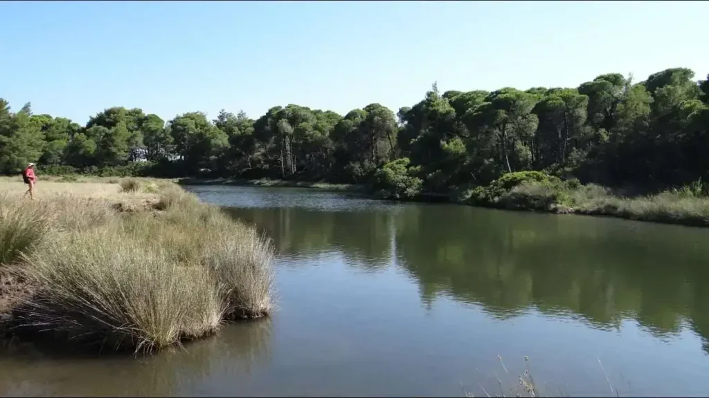 Λίμνη της Στροφυλίας Σκιάθος