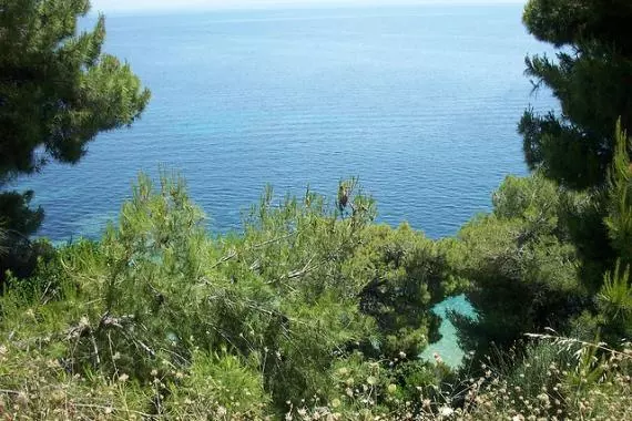 Αχλαδιές Σκιάθος