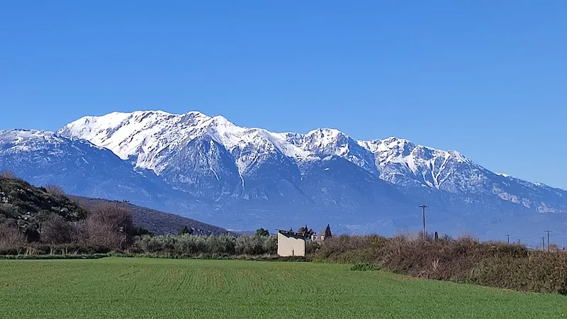 Παρνασσός
