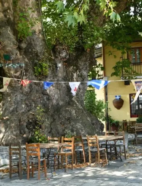 Φαγητό στην Τσαγκαράδα