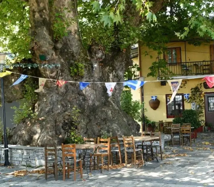 Φαγητό στην Τσαγκαράδα